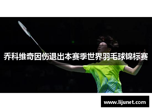 乔科维奇因伤退出本赛季世界羽毛球锦标赛